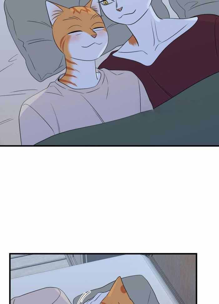 《蓝色计划》漫画最新章节第71话免费下拉式在线观看章节第【10】张图片