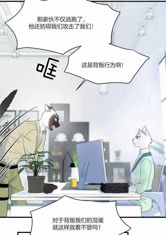 《蓝色计划》漫画最新章节第68话免费下拉式在线观看章节第【23】张图片
