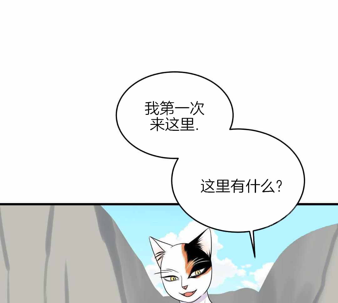 《蓝色计划》漫画最新章节第103话免费下拉式在线观看章节第【41】张图片