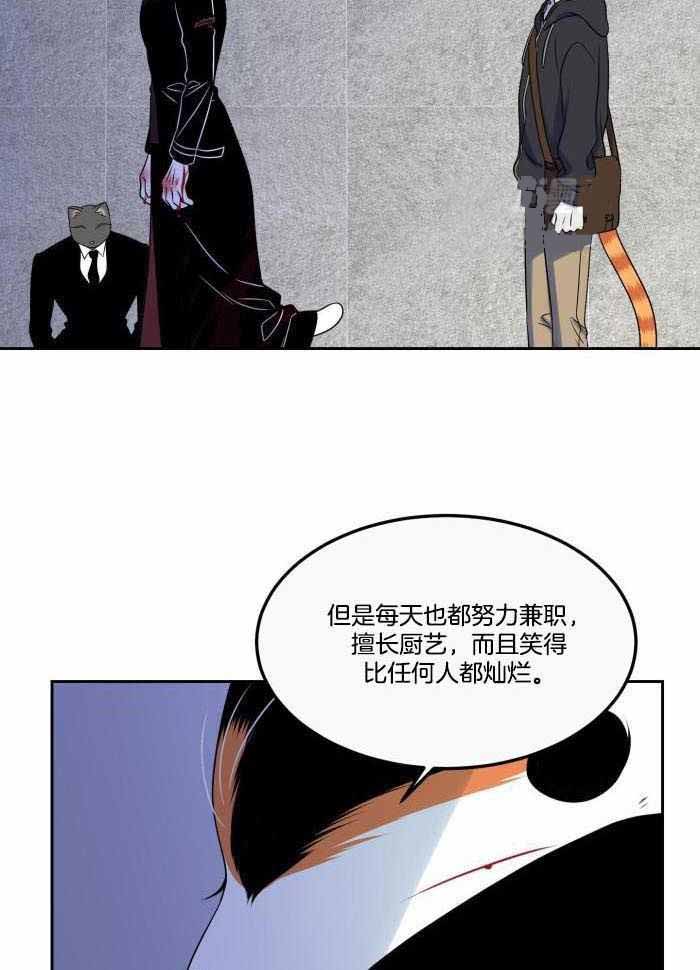 《蓝色计划》漫画最新章节第47话免费下拉式在线观看章节第【13】张图片