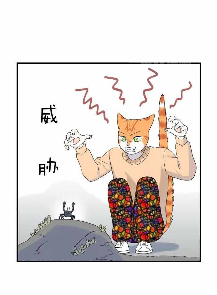 《蓝色计划》漫画最新章节第72话免费下拉式在线观看章节第【3】张图片