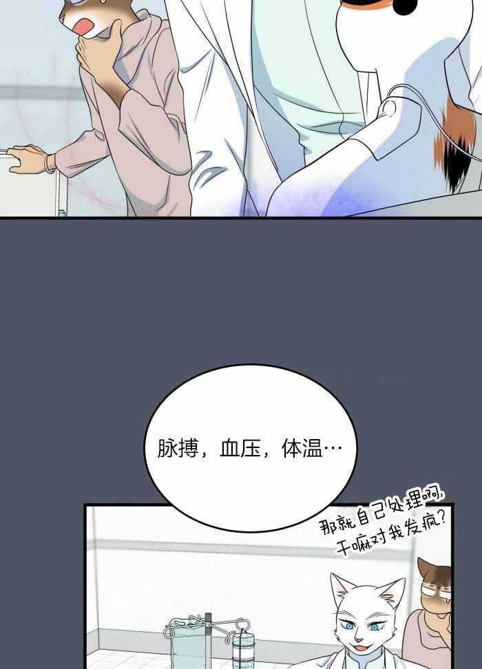 《蓝色计划》漫画最新章节第93话免费下拉式在线观看章节第【18】张图片