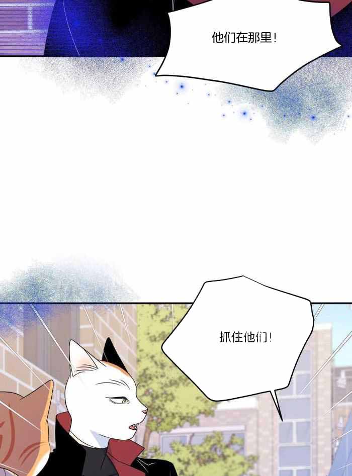 《蓝色计划》漫画最新章节第51话免费下拉式在线观看章节第【31】张图片