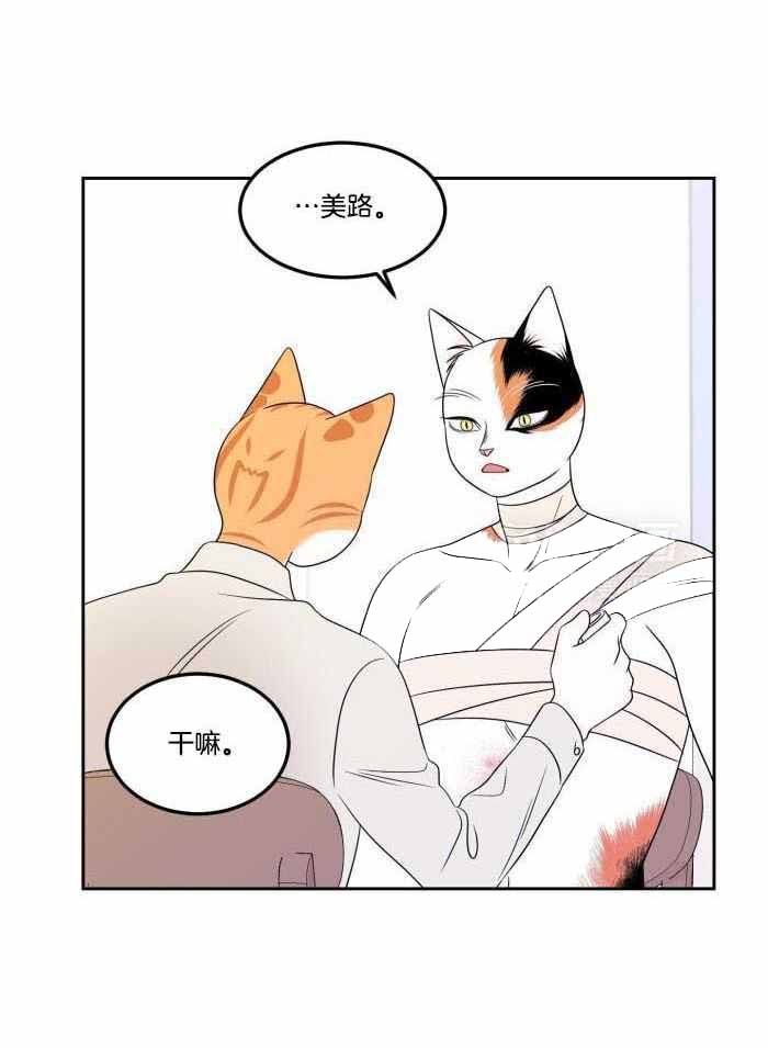 《蓝色计划》漫画最新章节第48话免费下拉式在线观看章节第【21】张图片