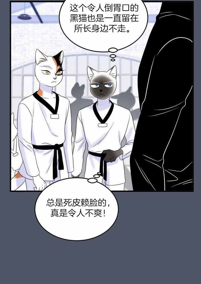 《蓝色计划》漫画最新章节第81话免费下拉式在线观看章节第【8】张图片