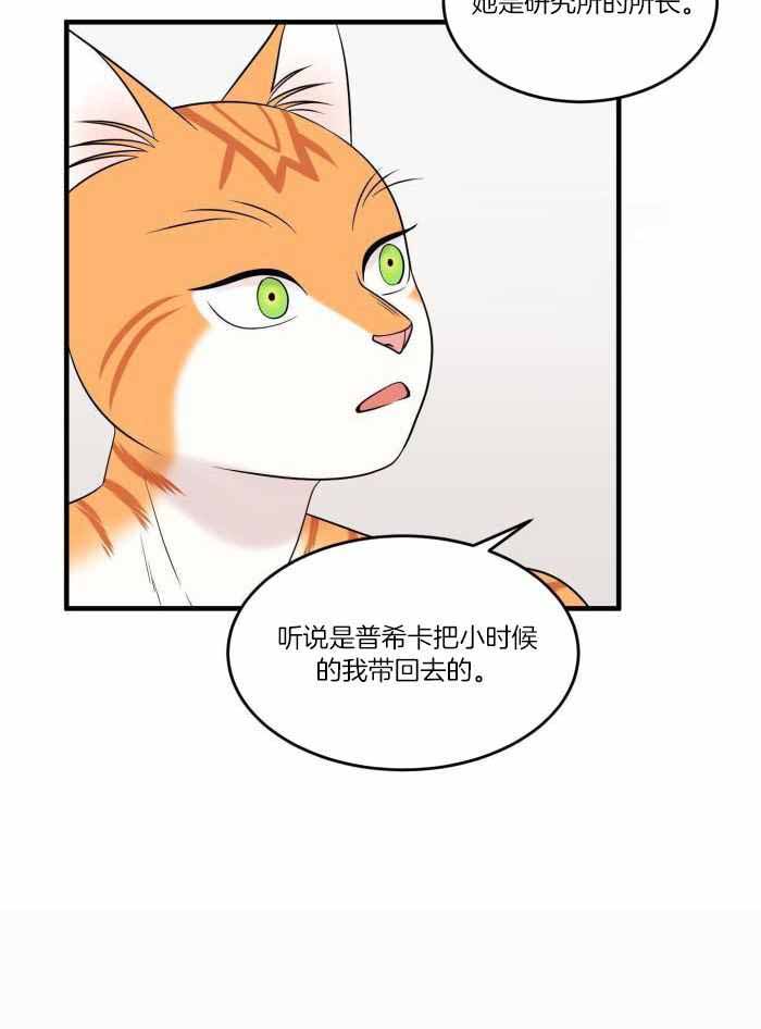 《蓝色计划》漫画最新章节第74话免费下拉式在线观看章节第【20】张图片