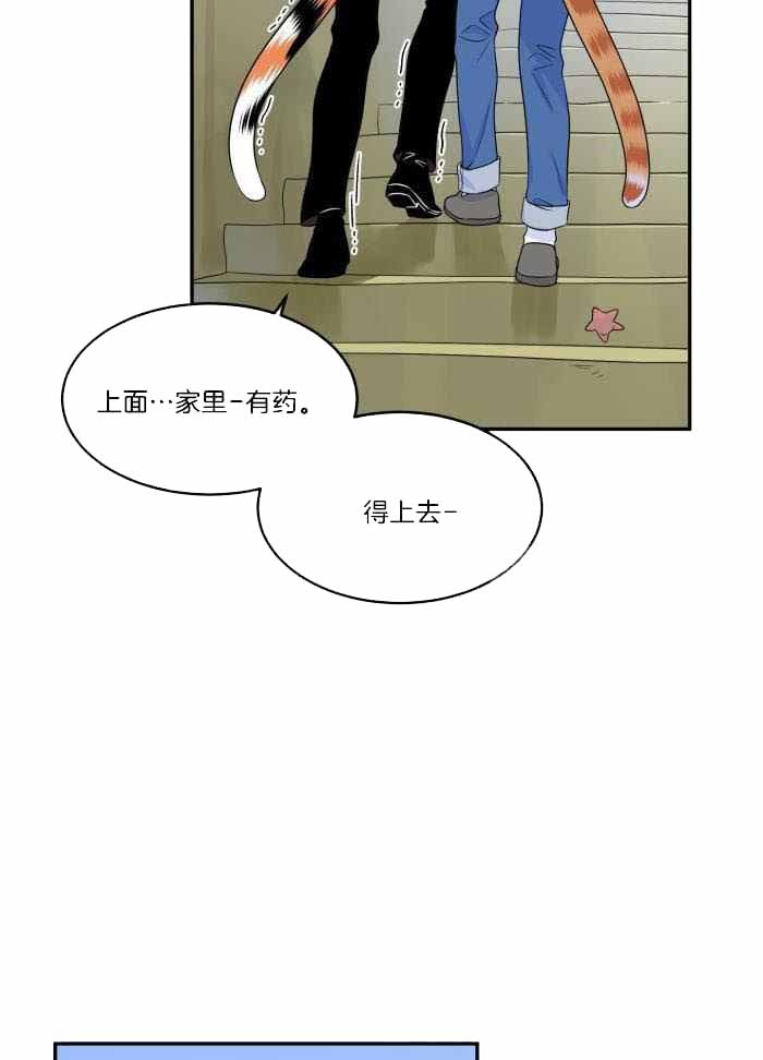 《蓝色计划》漫画最新章节第66话免费下拉式在线观看章节第【19】张图片