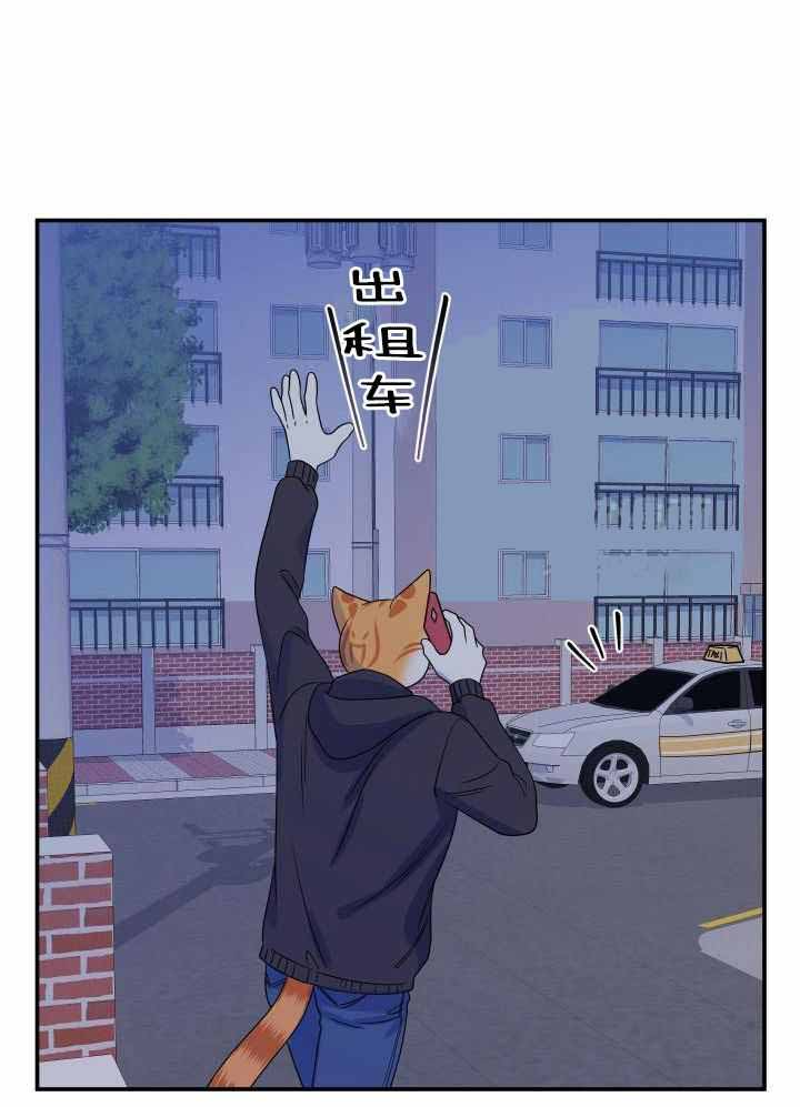 《蓝色计划》漫画最新章节第35话免费下拉式在线观看章节第【4】张图片