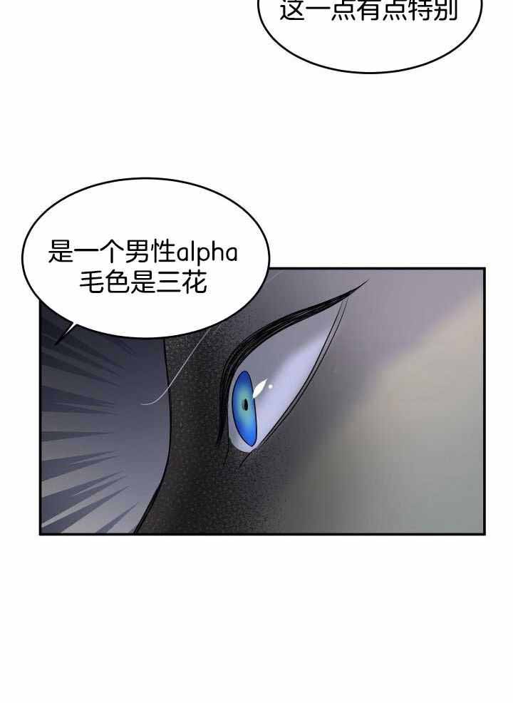 《蓝色计划》漫画最新章节第30话免费下拉式在线观看章节第【3】张图片