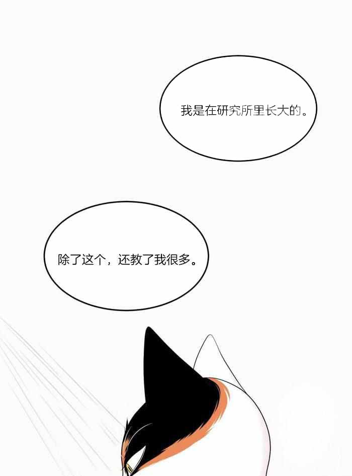 《蓝色计划》漫画最新章节第74话免费下拉式在线观看章节第【21】张图片