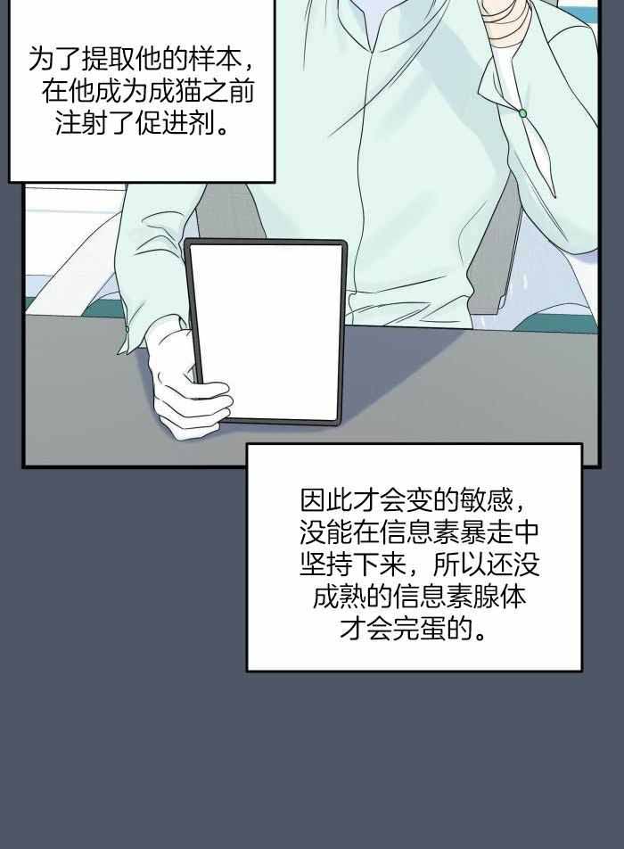 《蓝色计划》漫画最新章节第93话免费下拉式在线观看章节第【5】张图片