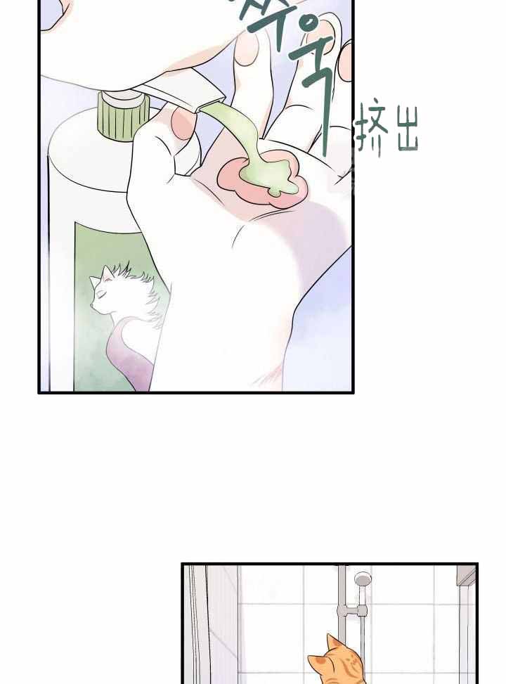 《蓝色计划》漫画最新章节第33话免费下拉式在线观看章节第【17】张图片