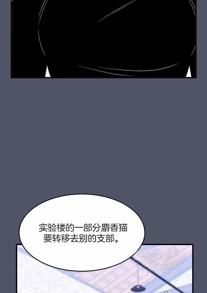 《蓝色计划》漫画最新章节第81话免费下拉式在线观看章节第【12】张图片