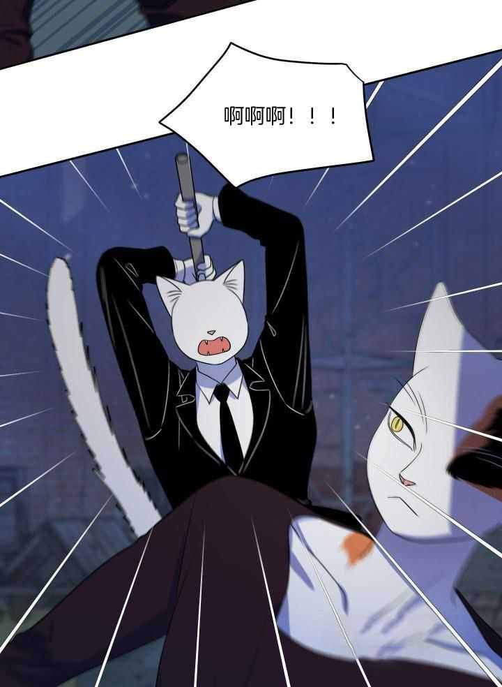 《蓝色计划》漫画最新章节第40话免费下拉式在线观看章节第【17】张图片