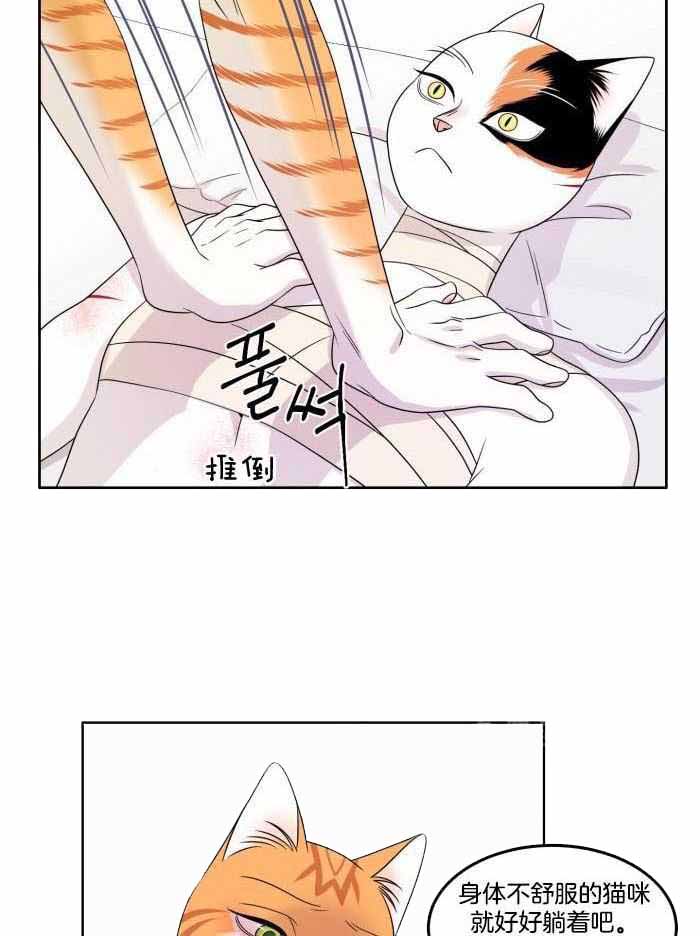 《蓝色计划》漫画最新章节第49话免费下拉式在线观看章节第【11】张图片