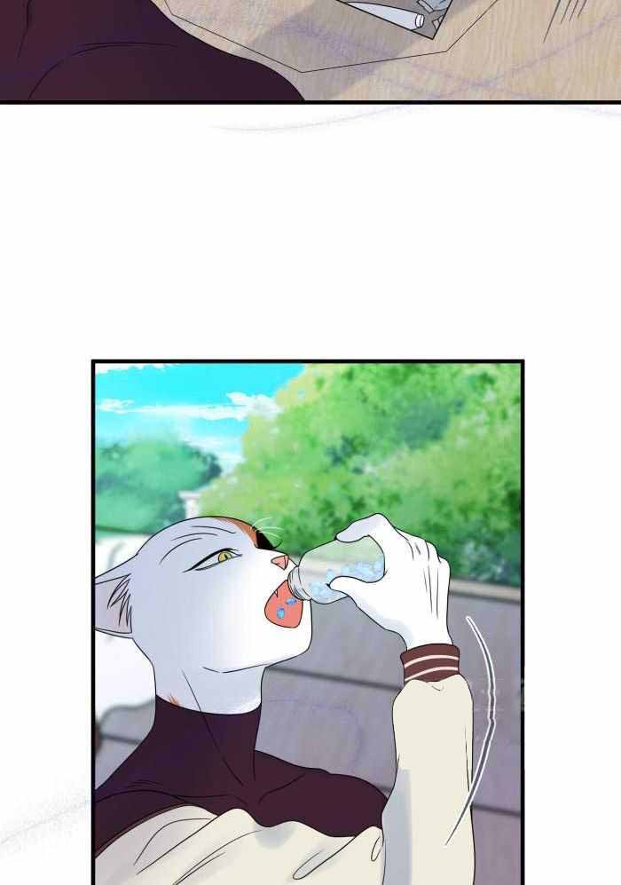 《蓝色计划》漫画最新章节第68话免费下拉式在线观看章节第【6】张图片