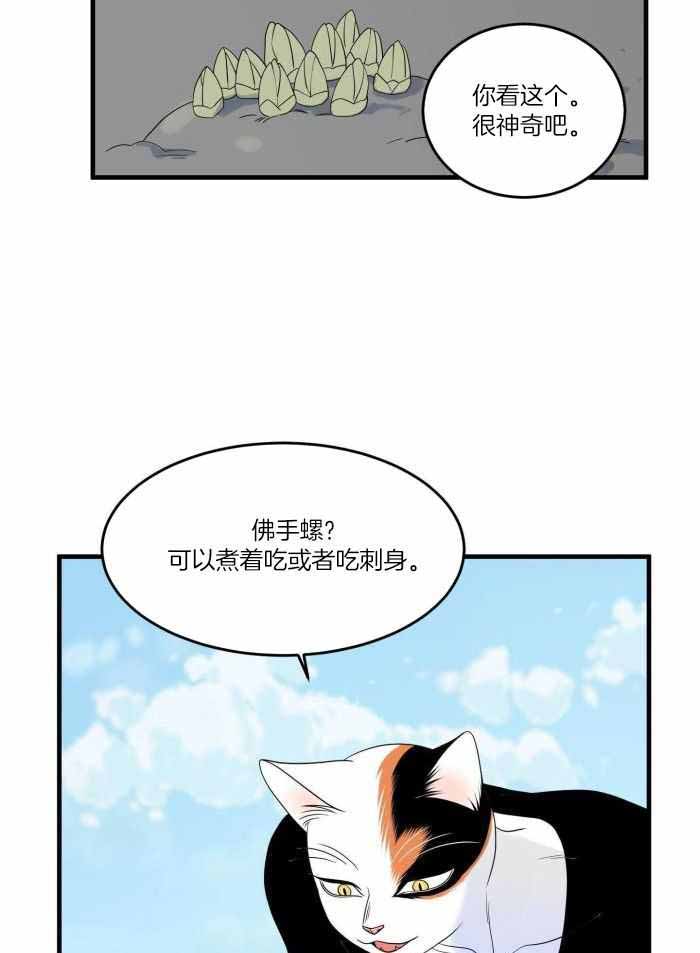 《蓝色计划》漫画最新章节第72话免费下拉式在线观看章节第【6】张图片