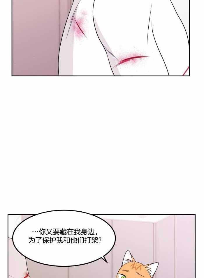 《蓝色计划》漫画最新章节第48话免费下拉式在线观看章节第【13】张图片