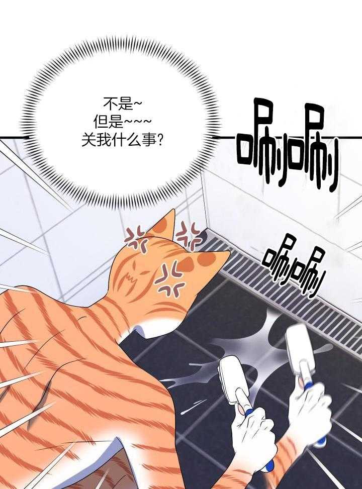 《蓝色计划》漫画最新章节第33话免费下拉式在线观看章节第【28】张图片