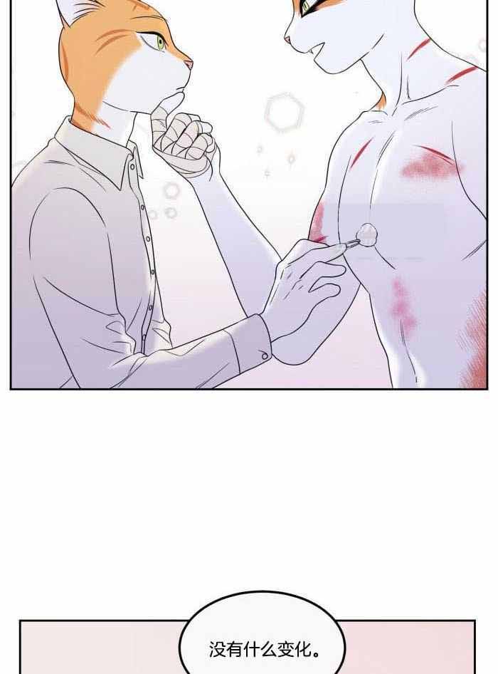 《蓝色计划》漫画最新章节第48话免费下拉式在线观看章节第【7】张图片