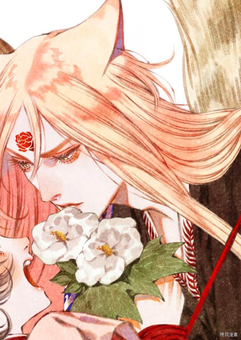 《九尾狐的花嫁》漫画最新章节推特图集免费下拉式在线观看章节第【13】张图片