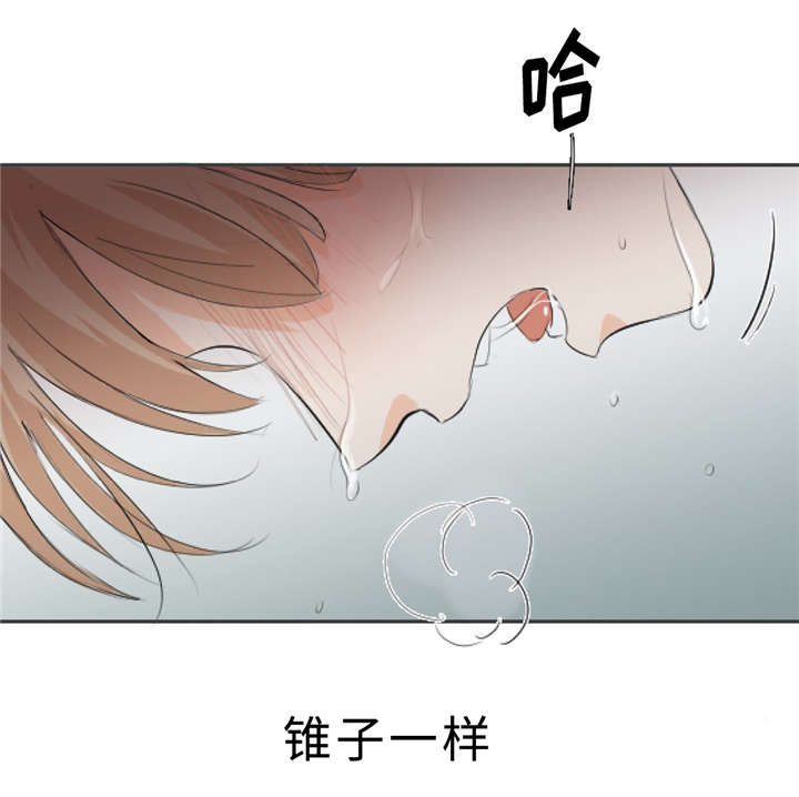 《相似形态》漫画最新章节第7话免费下拉式在线观看章节第【33】张图片