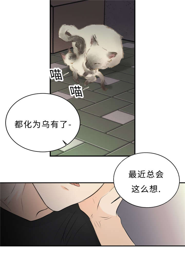 《相似形态》漫画最新章节第29话免费下拉式在线观看章节第【55】张图片