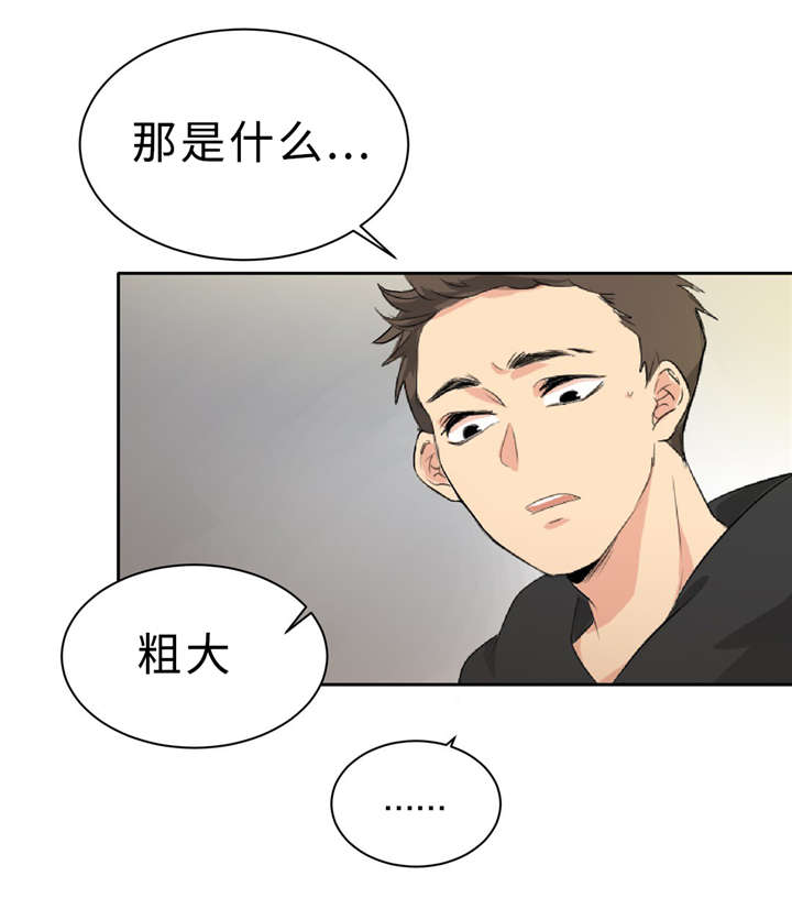 《相似形态》漫画最新章节第5话免费下拉式在线观看章节第【24】张图片