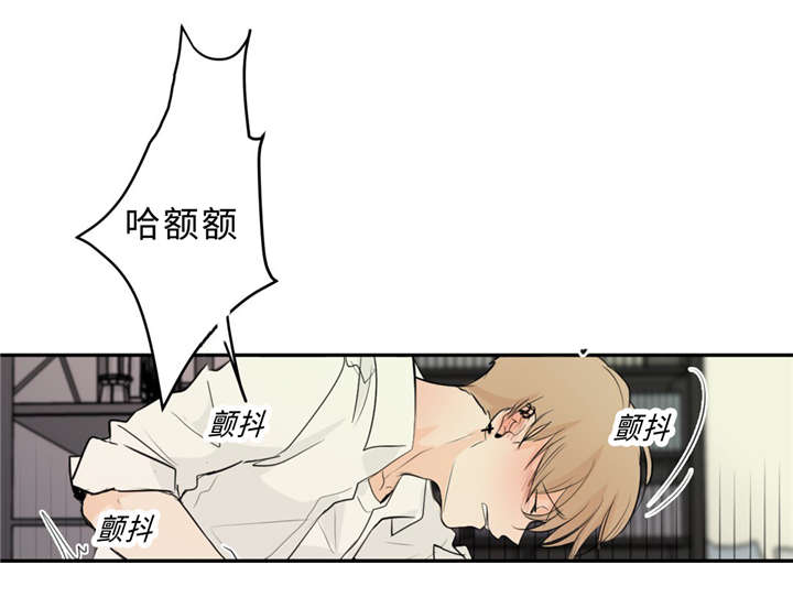 《相似形态》漫画最新章节第33话免费下拉式在线观看章节第【41】张图片