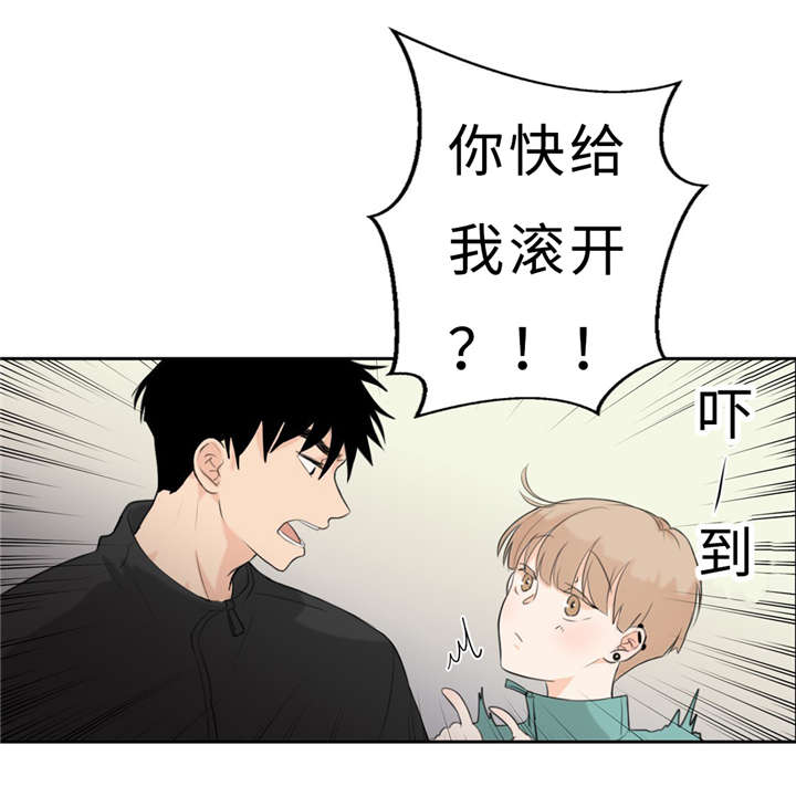 《相似形态》漫画最新章节第16话免费下拉式在线观看章节第【45】张图片