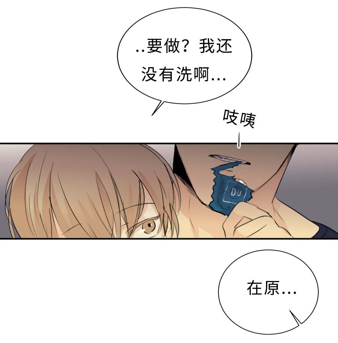 《相似形态》漫画最新章节第38话免费下拉式在线观看章节第【15】张图片