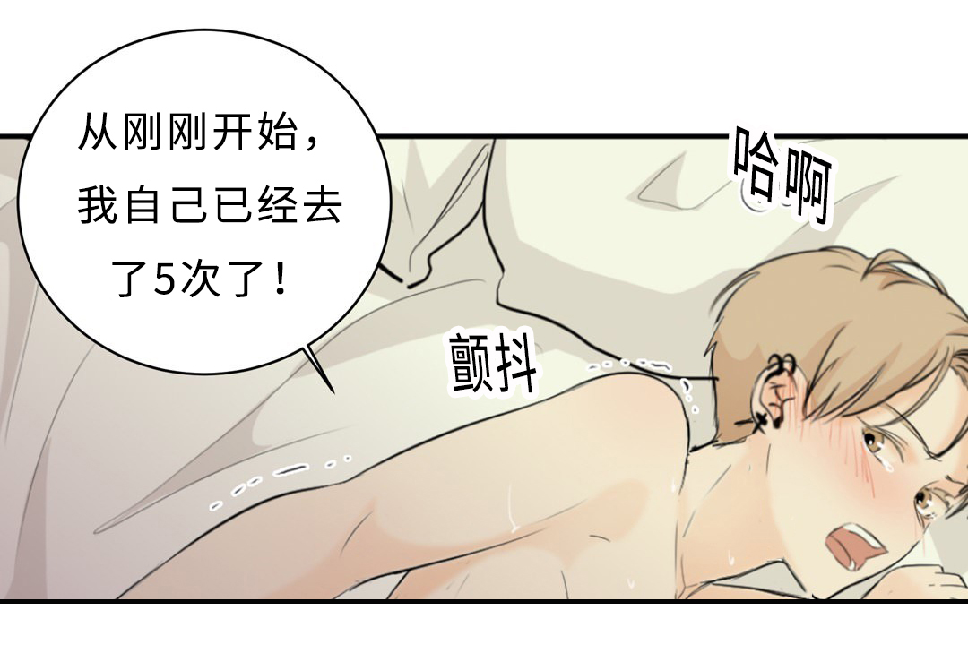 《相似形态》漫画最新章节第34话免费下拉式在线观看章节第【45】张图片