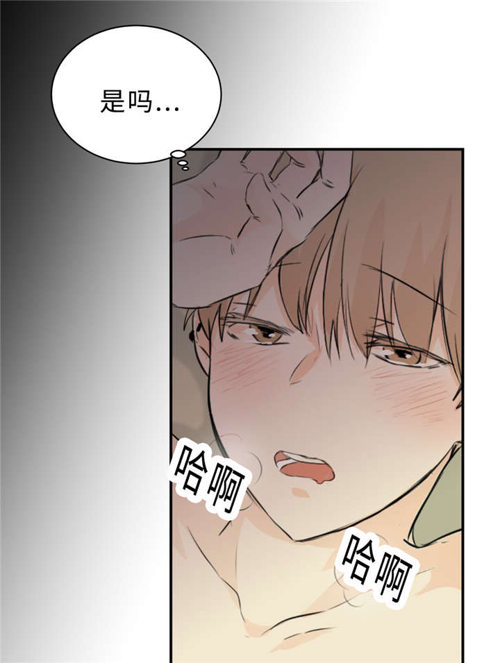 《相似形态》漫画最新章节第30话免费下拉式在线观看章节第【51】张图片