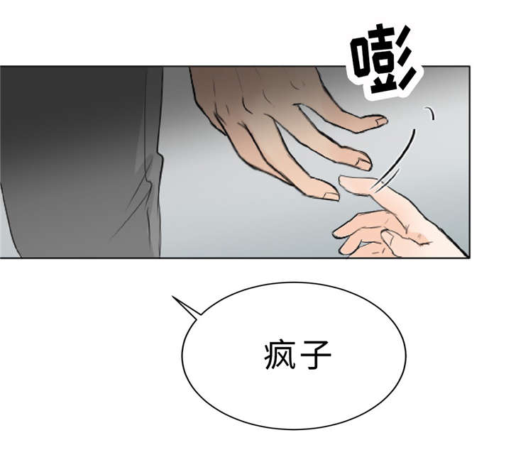 《相似形态》漫画最新章节第9话免费下拉式在线观看章节第【3】张图片