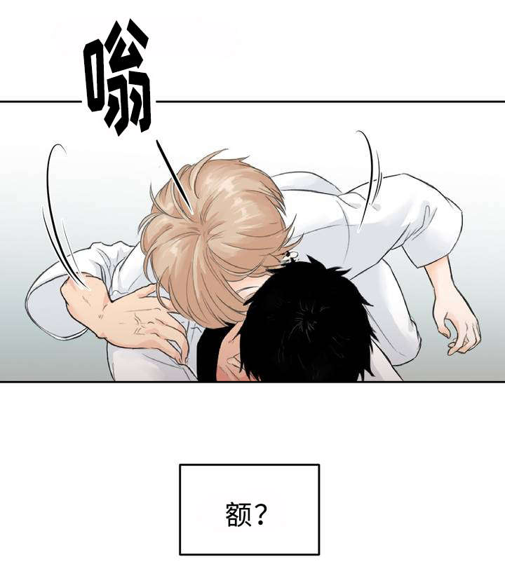 《相似形态》漫画最新章节第1话免费下拉式在线观看章节第【17】张图片