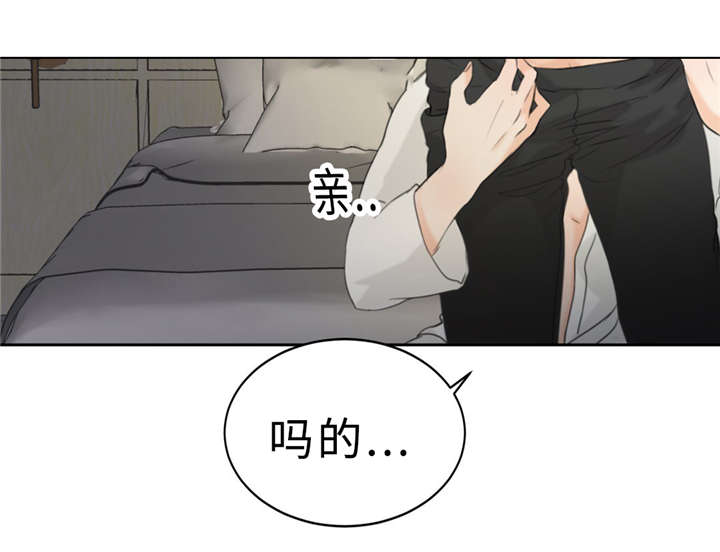 《相似形态》漫画最新章节第18话免费下拉式在线观看章节第【37】张图片