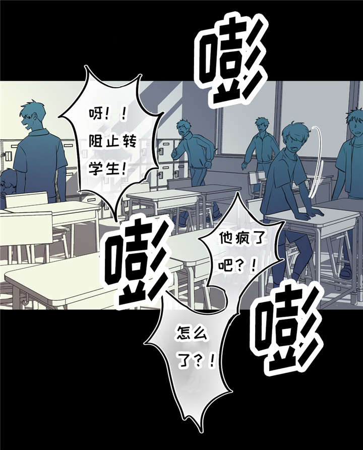 《相似形态》漫画最新章节第14话免费下拉式在线观看章节第【11】张图片