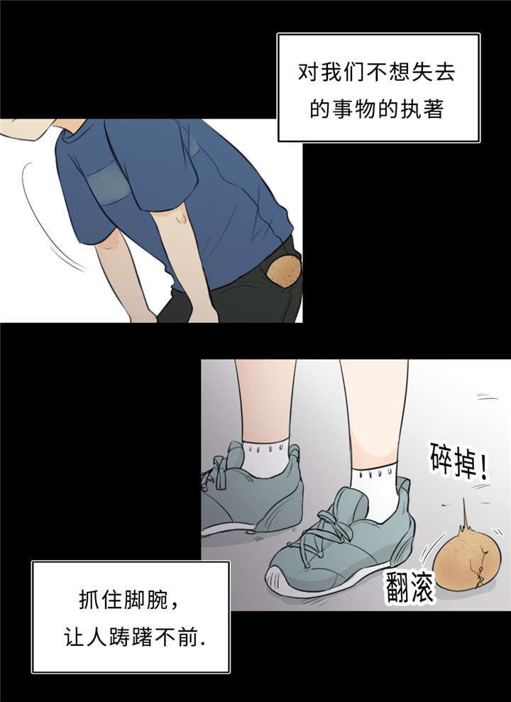 《相似形态》漫画最新章节第35话免费下拉式在线观看章节第【45】张图片