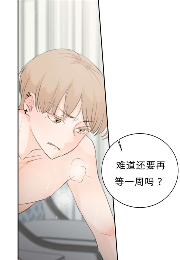 《相似形态》漫画最新章节第19话免费下拉式在线观看章节第【33】张图片