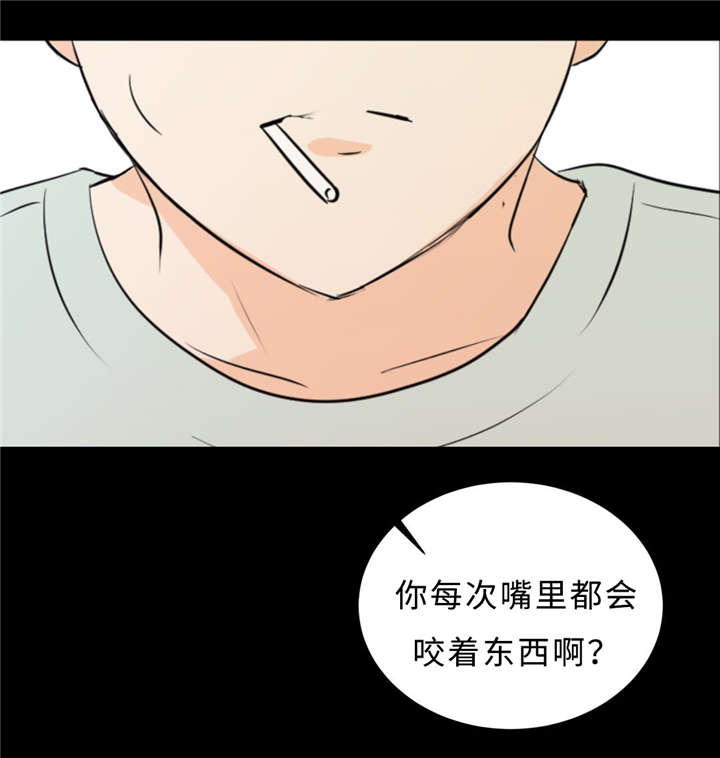 《相似形态》漫画最新章节第33话免费下拉式在线观看章节第【47】张图片