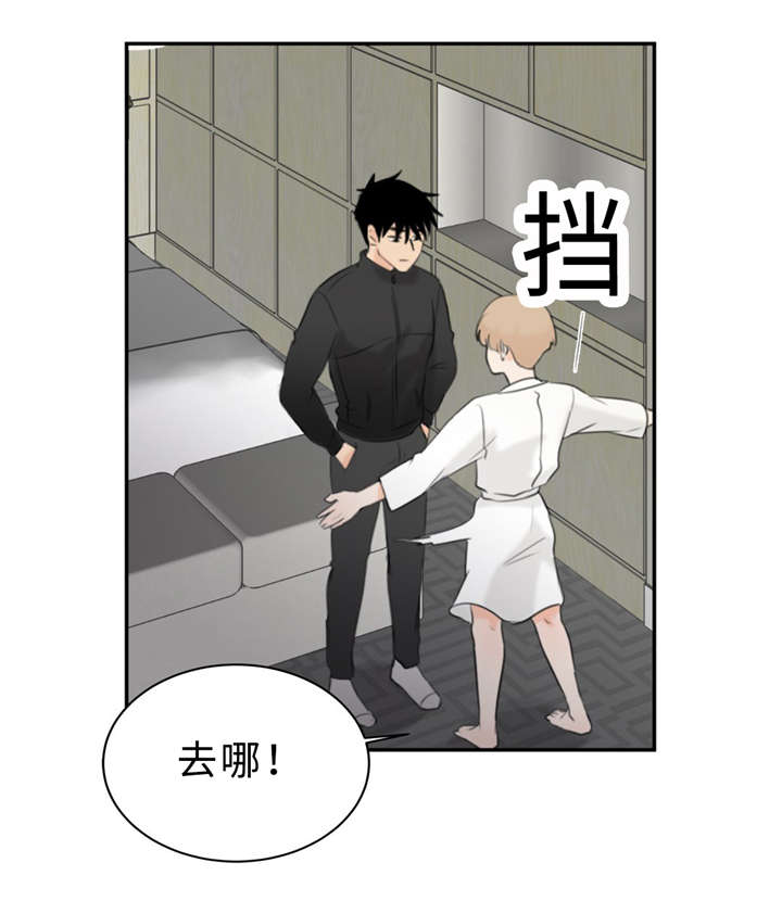 《相似形态》漫画最新章节第17话免费下拉式在线观看章节第【45】张图片