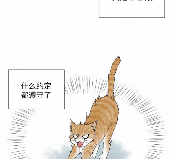 《沉默男子》漫画最新章节第65话免费下拉式在线观看章节第【7】张图片