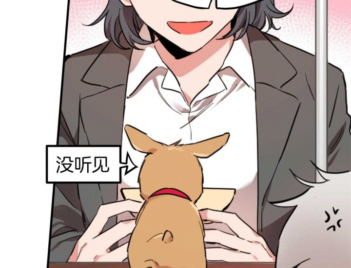 《 夏菲菲的兔子》漫画最新章节第6话免费下拉式在线观看章节第【2】张图片