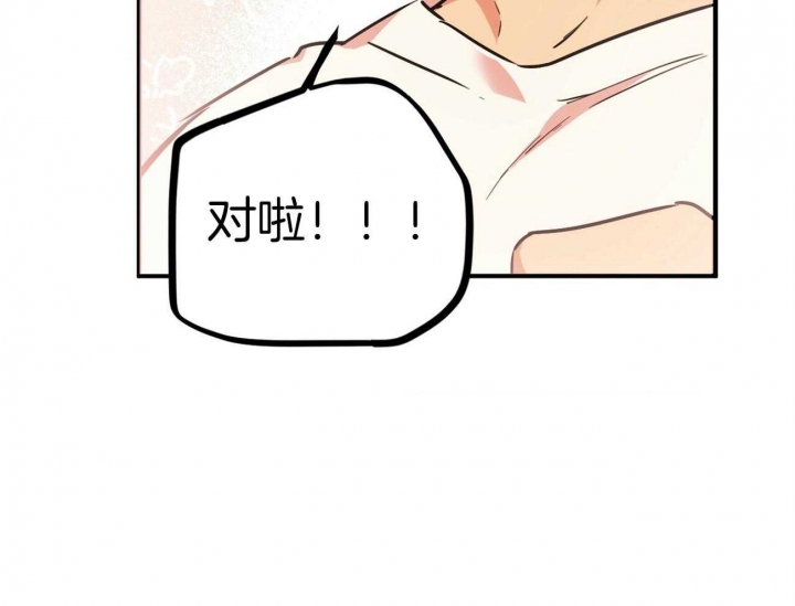 《 夏菲菲的兔子》漫画最新章节第10话免费下拉式在线观看章节第【41】张图片