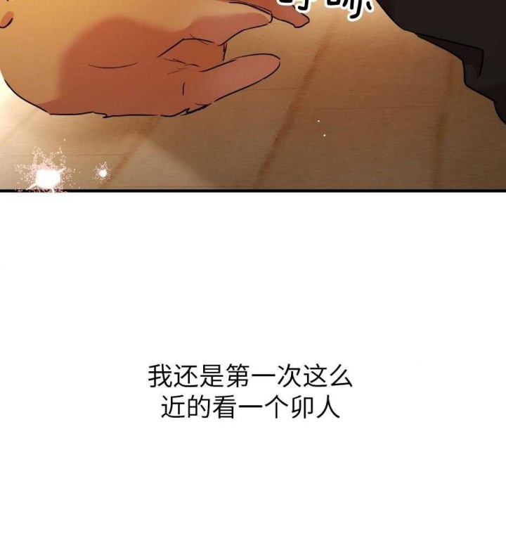 《 夏菲菲的兔子》漫画最新章节第37话免费下拉式在线观看章节第【31】张图片