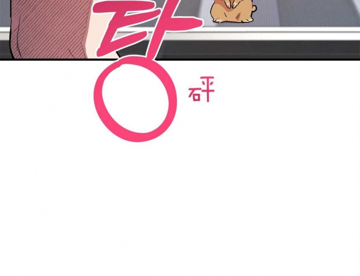 《 夏菲菲的兔子》漫画最新章节第7话免费下拉式在线观看章节第【5】张图片