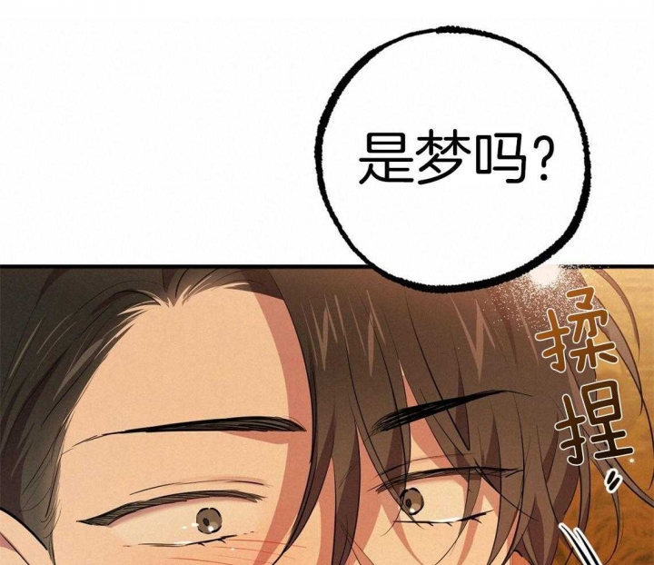 《 夏菲菲的兔子》漫画最新章节第66话免费下拉式在线观看章节第【24】张图片