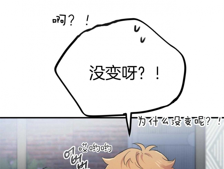 《 夏菲菲的兔子》漫画最新章节第19话免费下拉式在线观看章节第【5】张图片