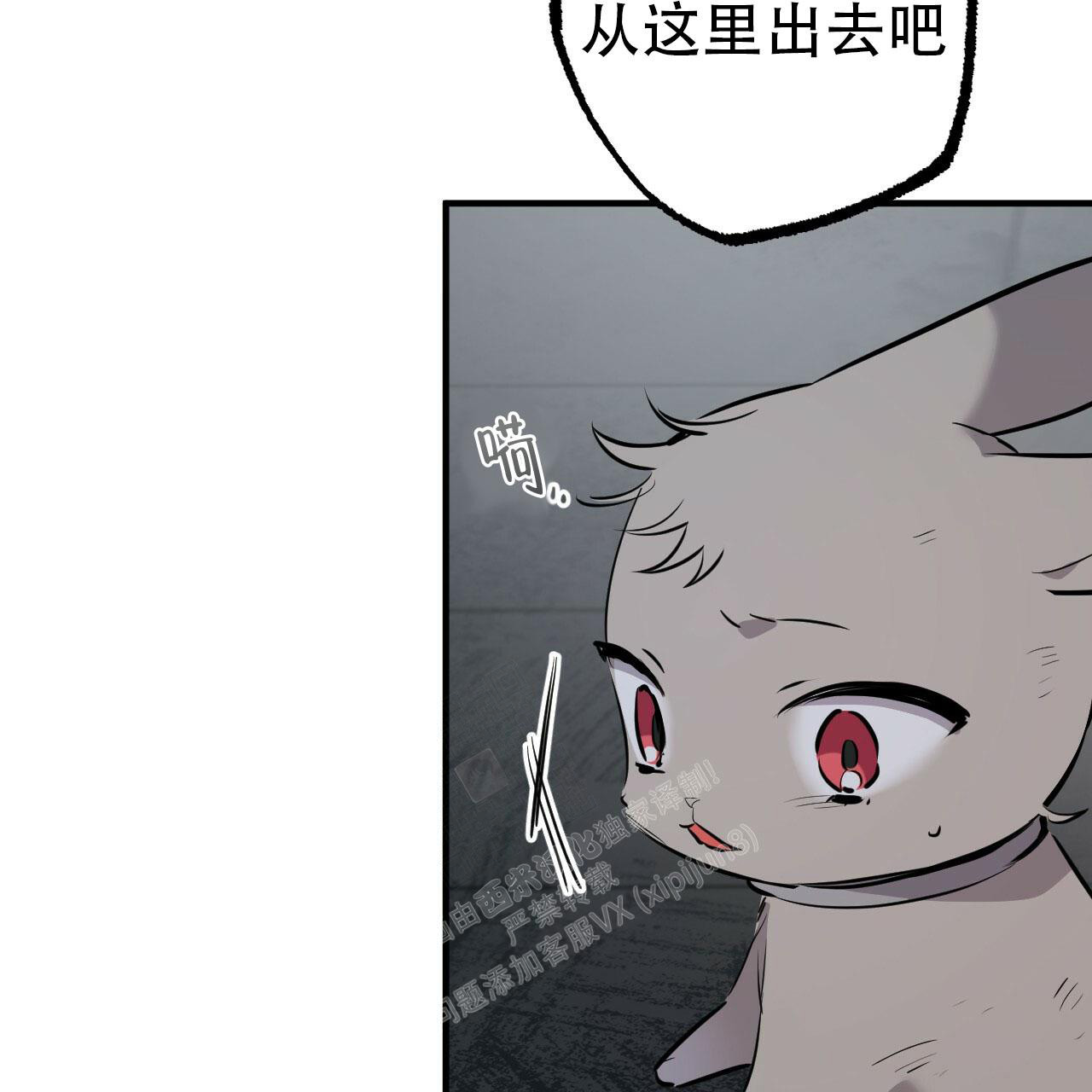 《 夏菲菲的兔子》漫画最新章节第110话免费下拉式在线观看章节第【86】张图片