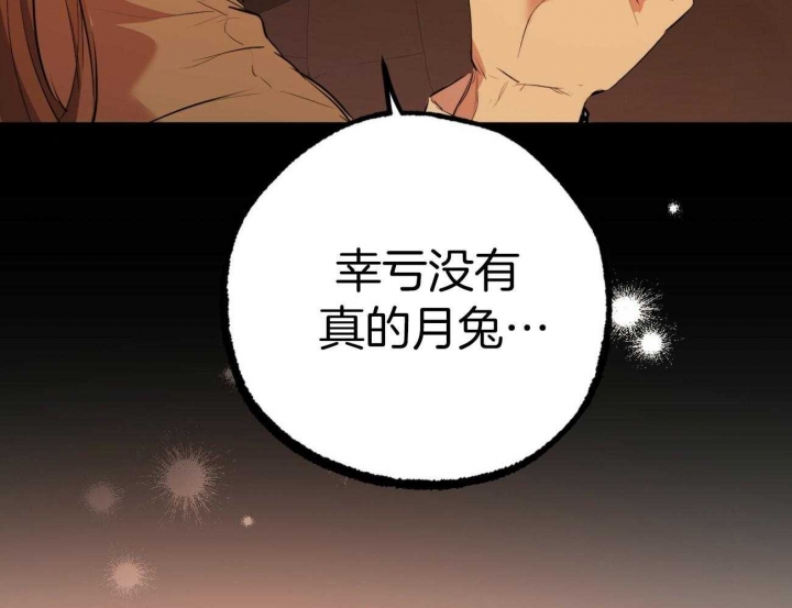 《 夏菲菲的兔子》漫画最新章节第71话免费下拉式在线观看章节第【92】张图片